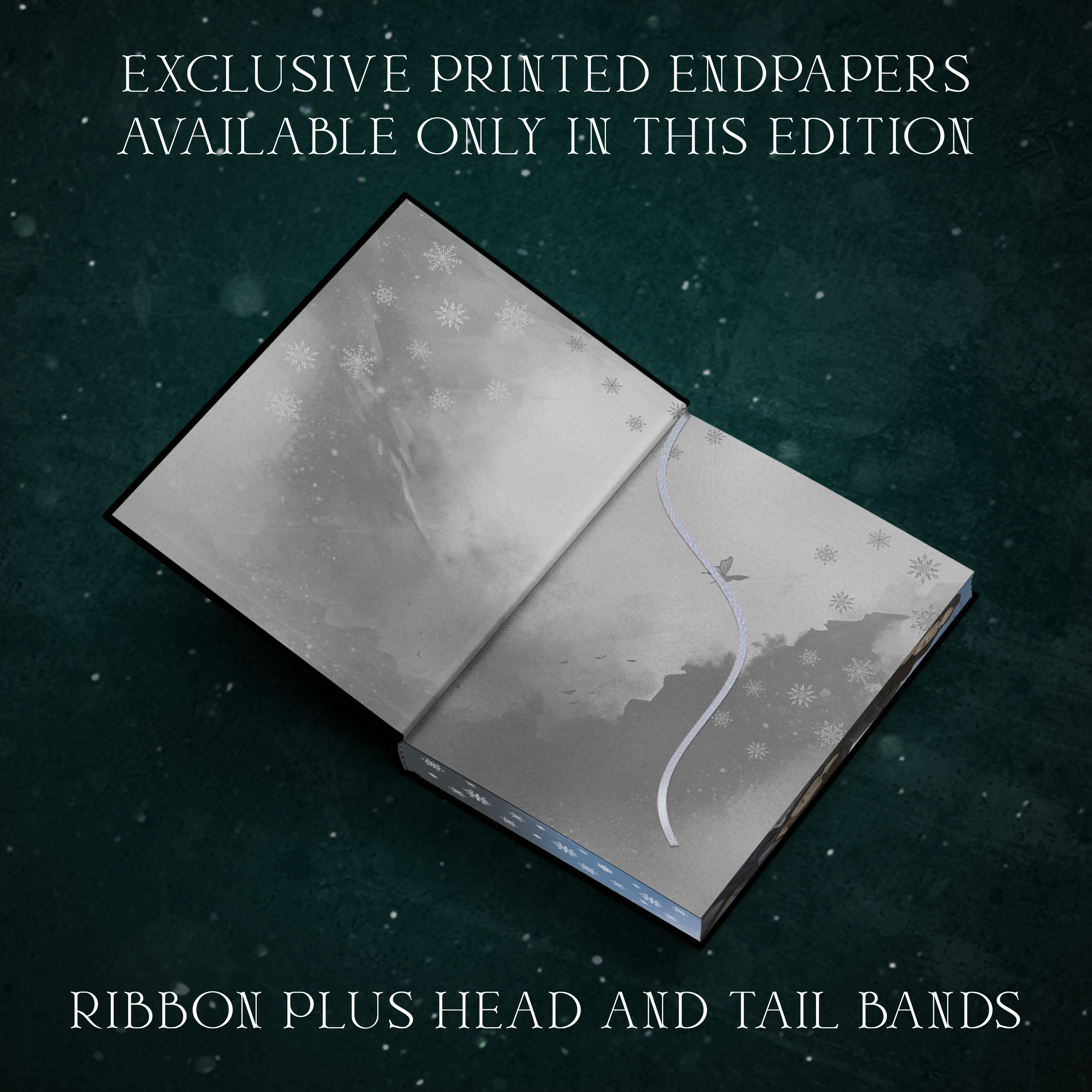 Image of silver endpapers with butterfly and snowflakes details